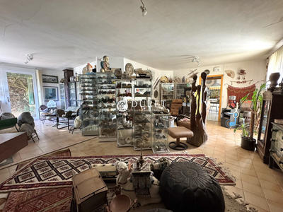 Viager - Maison ancienne - 139 m² - 6 pièces