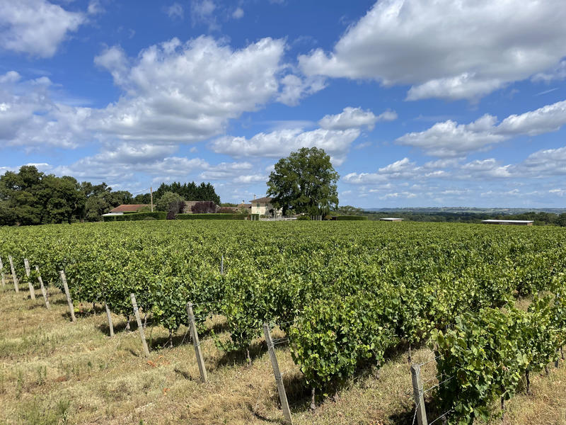 Propriété - 240 m² - 7 pièces