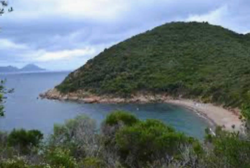 Immeuble - 920 m² - 25 pièces