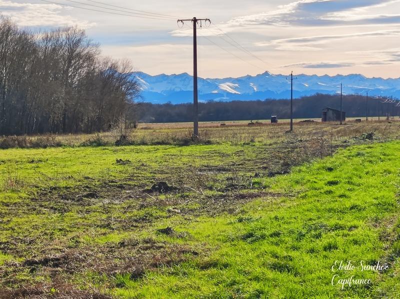 Terrain constructible - 7 732 m²