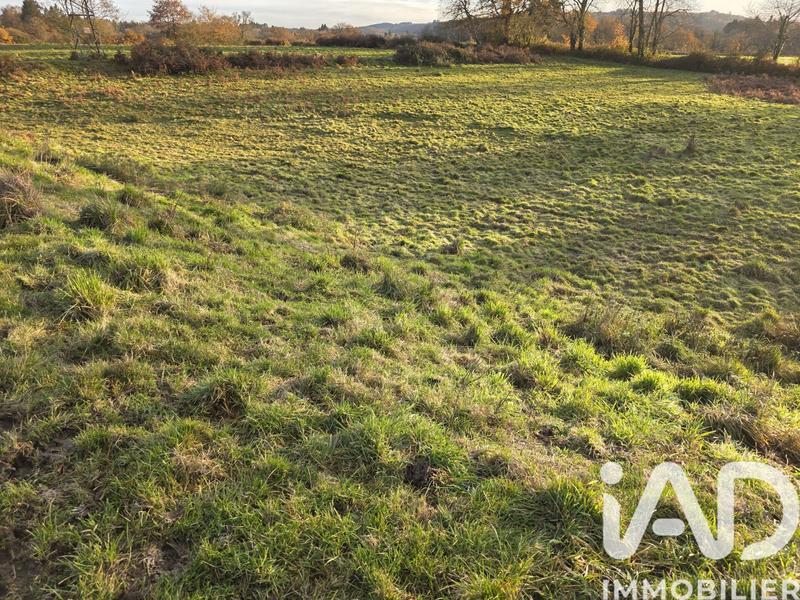 Terrain - 41 275 m²