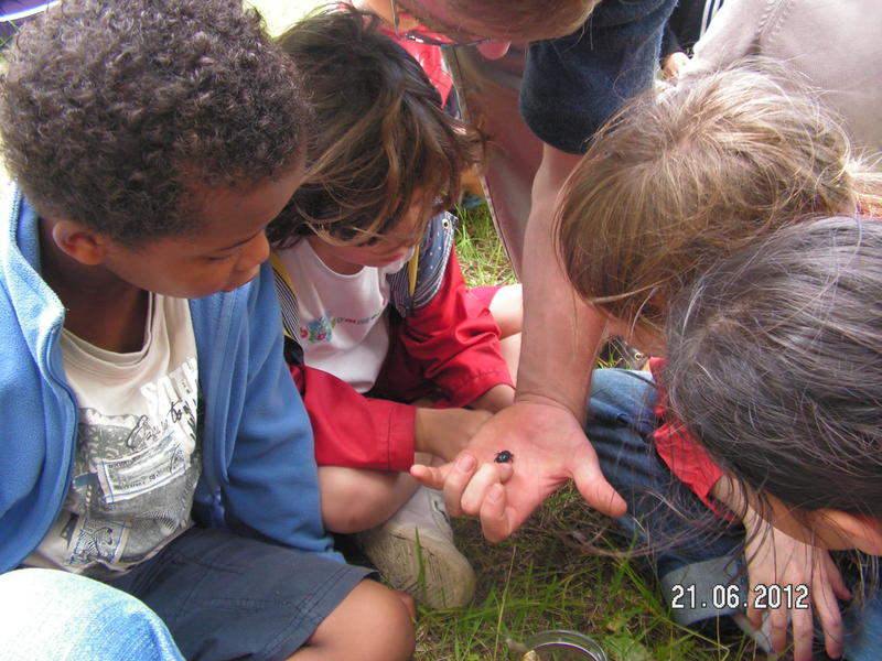 Atelier &quot;Petites Bêtes&quot;