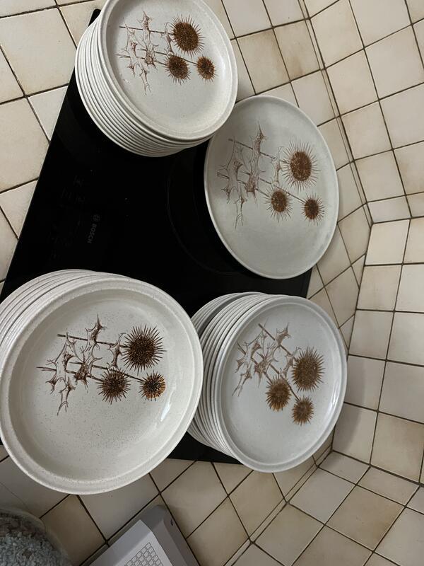 Vide maison - vide dressing