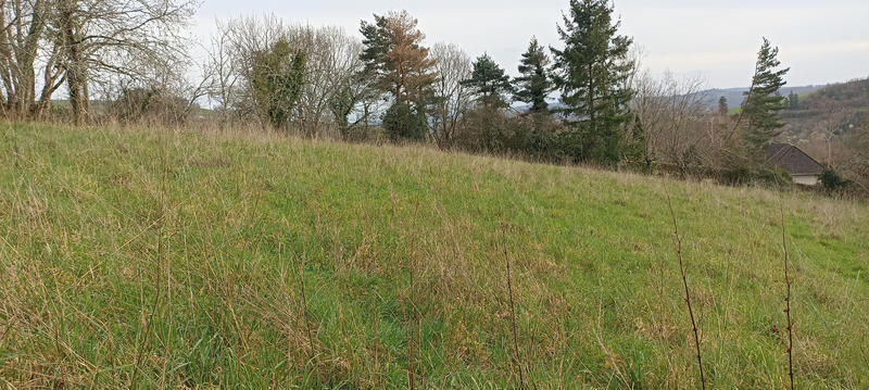 Terrain - 12 505 m²