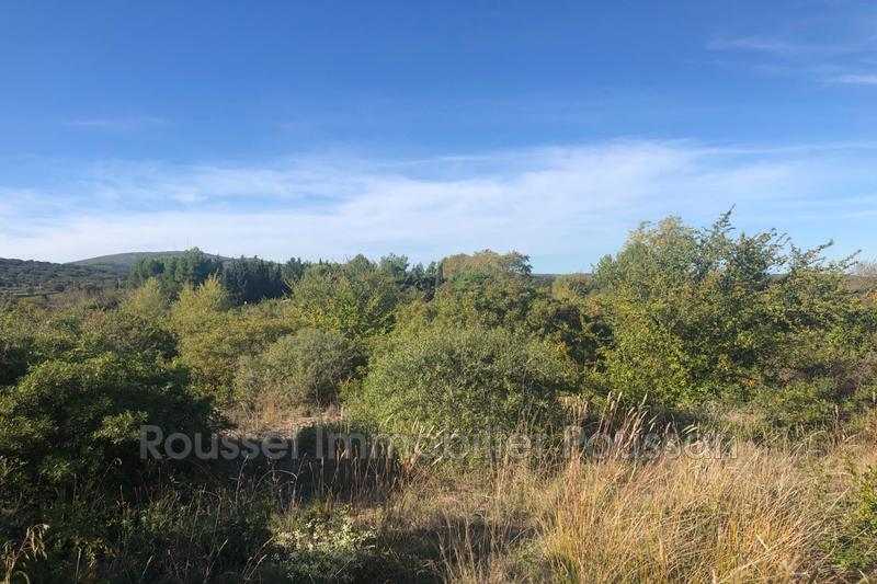Terrain agricole - 10 851 m²