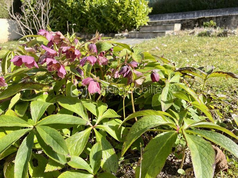 Maison - 85 m² - 5 pièces