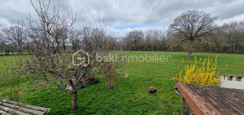 Longère - 275 m² - 9 pièces