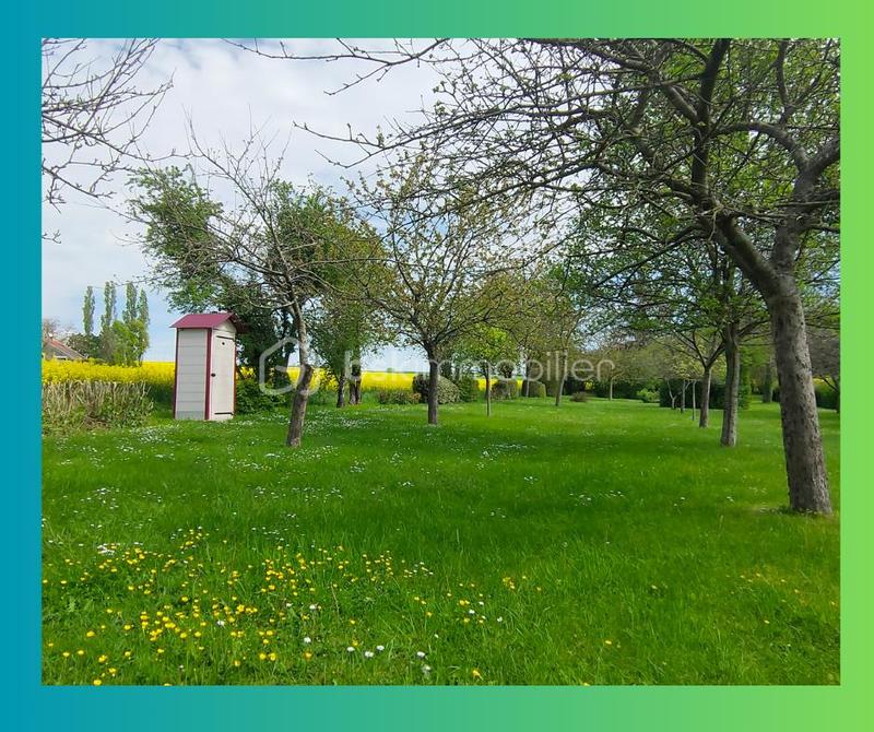 Maison ancienne - 150 m² - 6 pièces