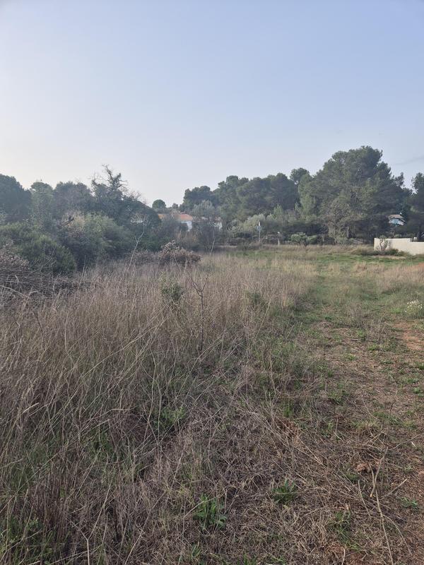 Terrain constructible - 2 000 m²
