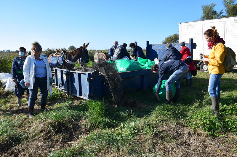 Chantier de nettoyage havre de Surville