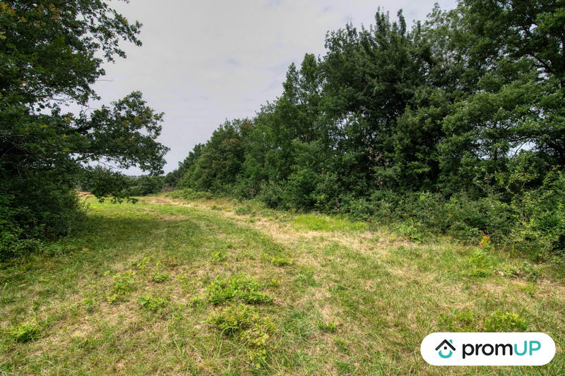 Terrain de loisirs - 7 103 m²