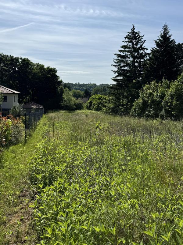 Terrain constructible - 1 117 m²