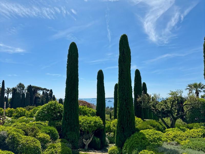 Appartement - 270 m² - 6 pièces