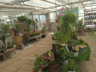 Aux Serres Hermitoises