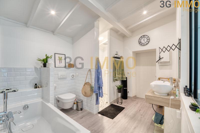 Mas - 280 m² - 9 pièces