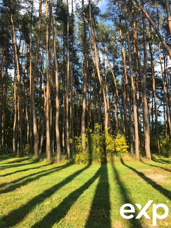 Maison - 154 m² - 6 pièces