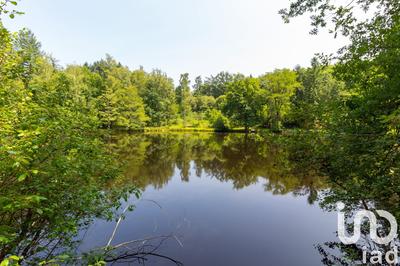 Terrain - 39 973 m²