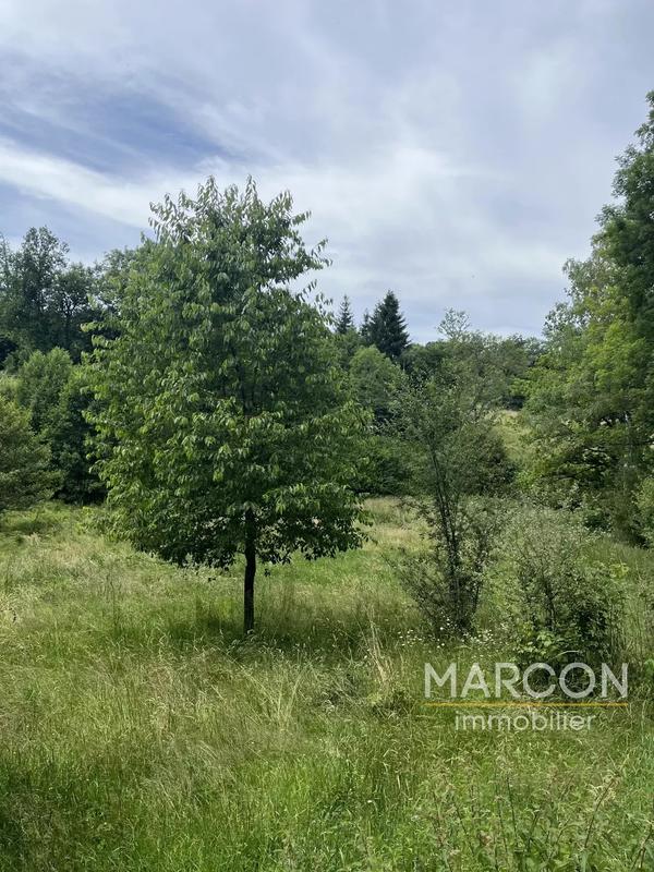 Maison - 146 m² - 6 pièces