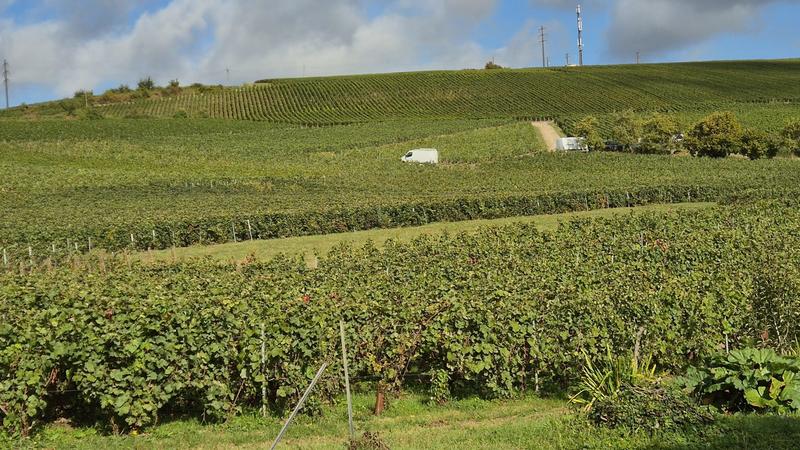 Appartement - 28 m² - 2 pièces