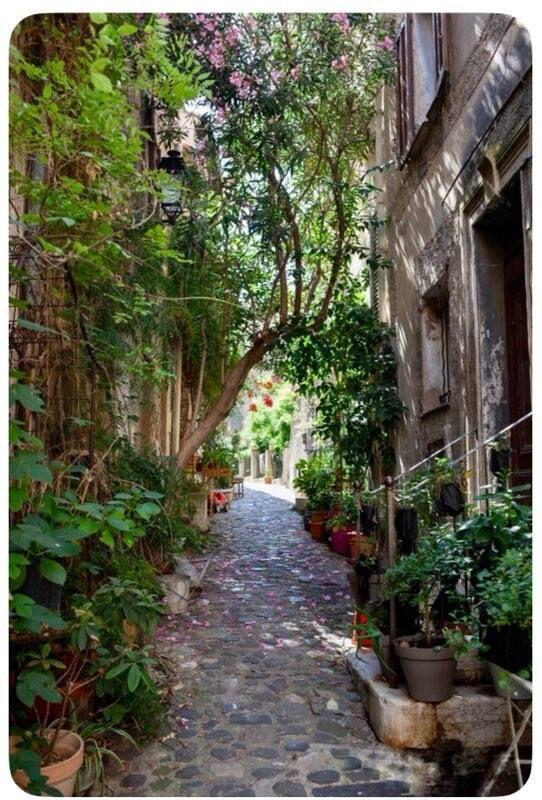 Maison de village - 84 m² - 4 pièces