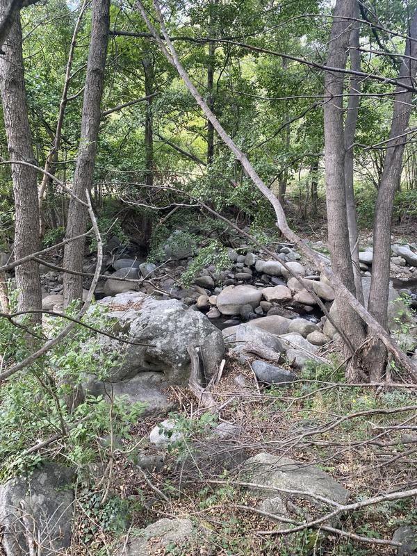 Maison - 145 m² - 3 pièces