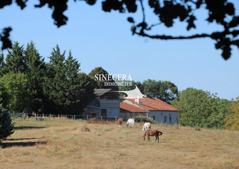 Maison - 200 m² - 6 pièces