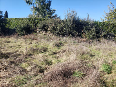 Terrain - 780 m²