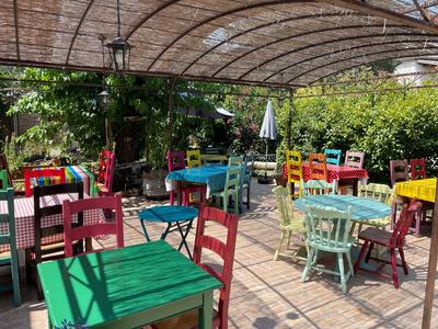 Local commercial - 445 m² - 15 pièces