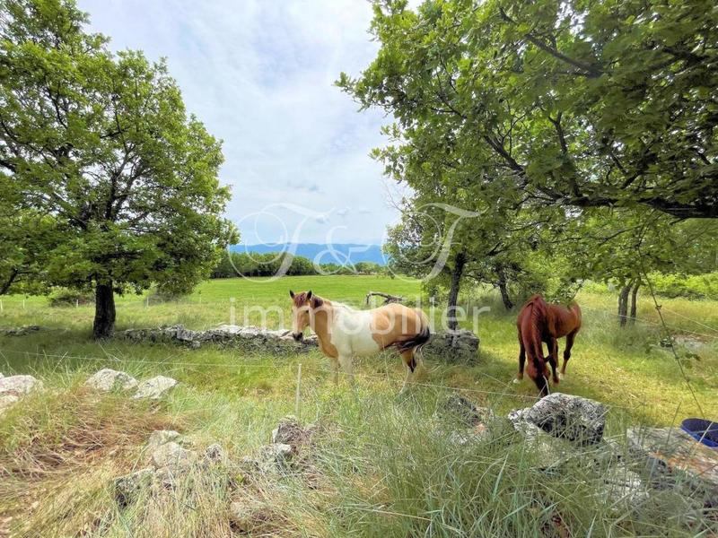 Propriété - 330 m² - 10 pièces