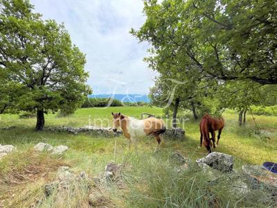 Propriété - 330 m² - 10 pièces