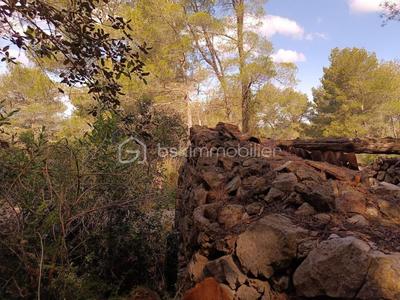 Terrain agricole - 525 m²