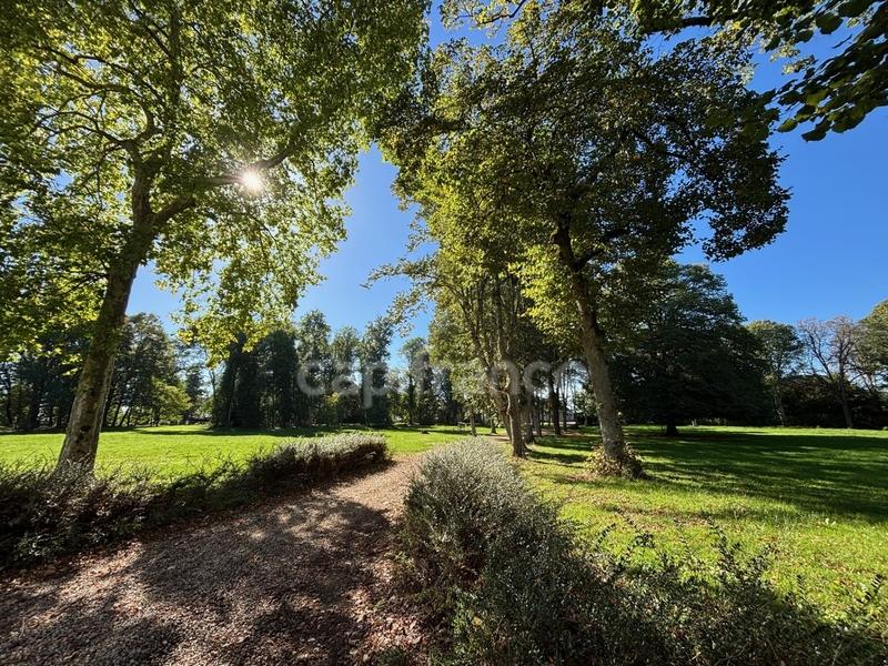 Château - 838 m² - 26 pièces