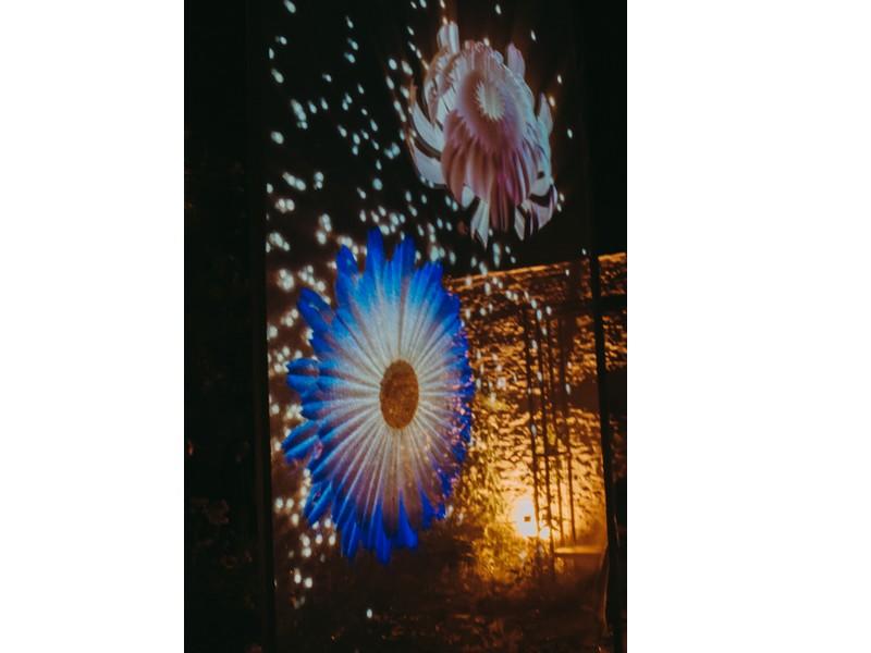 Les soirées illuminées d'été