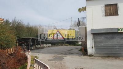 Local commercial - 530 m²