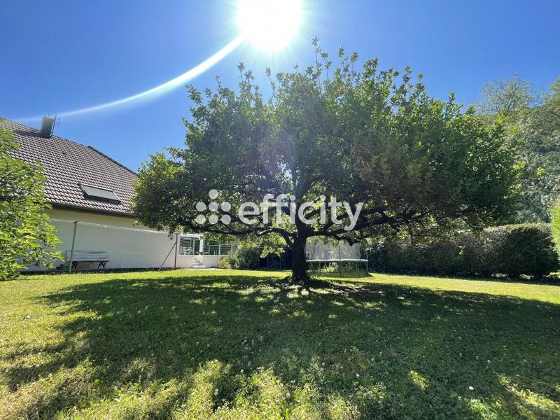 Maison - 200 m² - 7 pièces