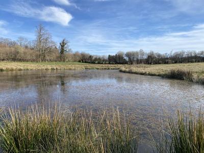 Terrain de loisirs - 29 210 m²