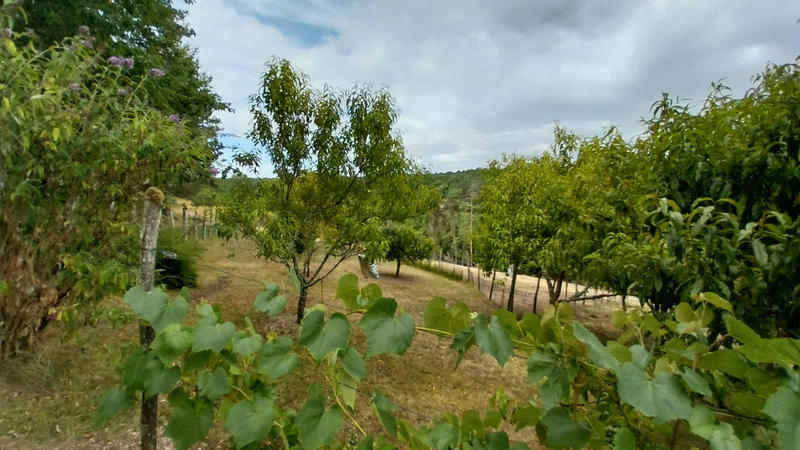 Propriété - 139 m² - 4 pièces