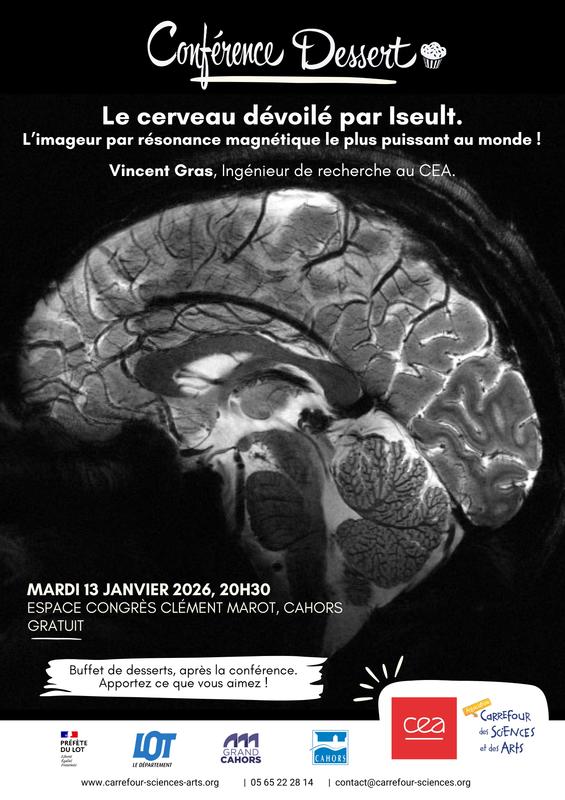 Conférence Dessert avec Carrefour des Sciences et des Arts : "Le cerveau dévoilé par Iseult"