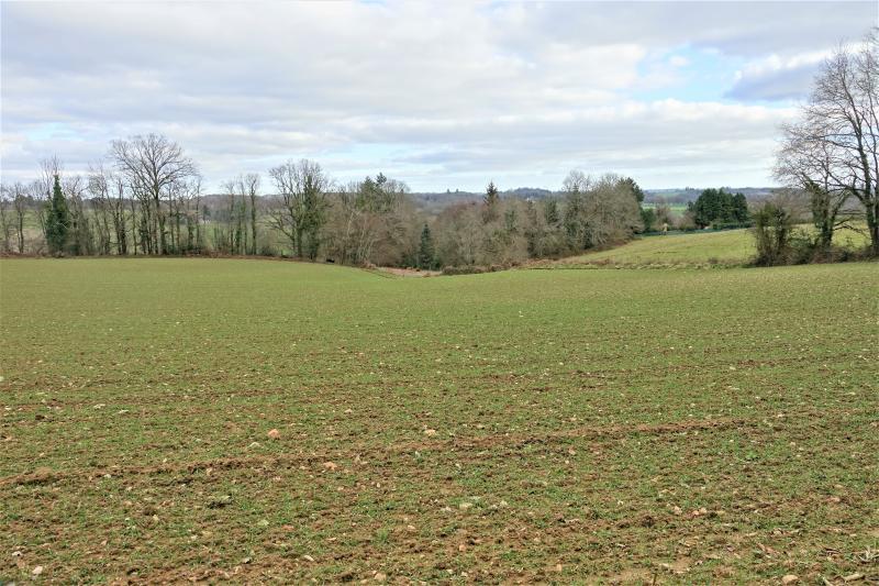 Terrain - 42 203 m²