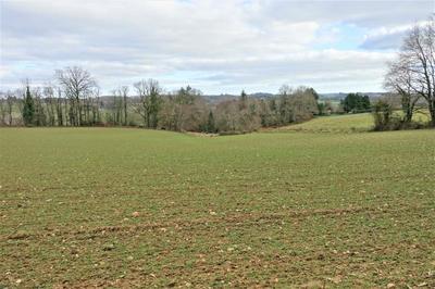 Terrain - 42 203 m²