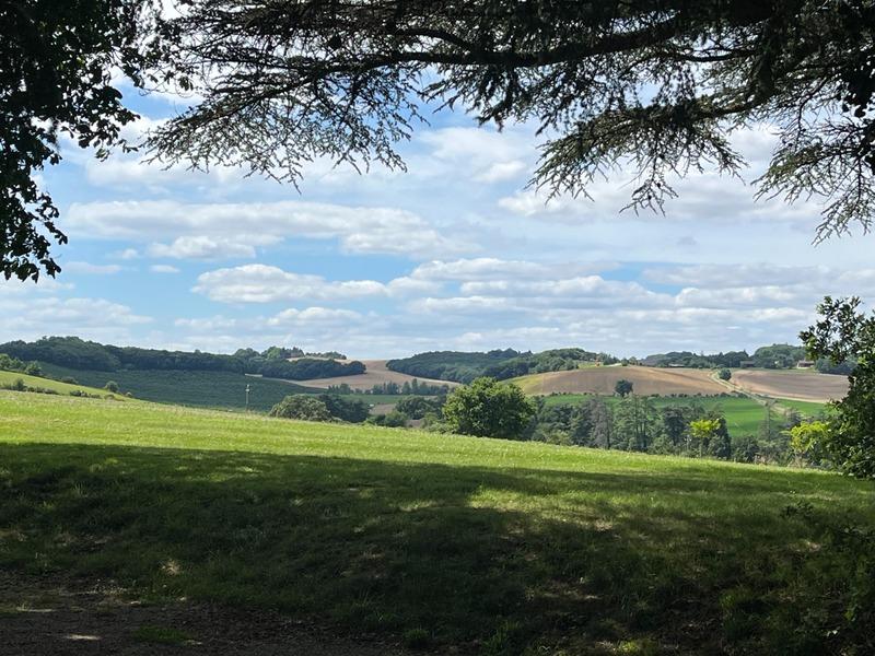 Propriété - 491 m² - 20 pièces