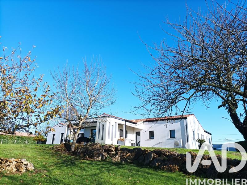 Maison de maîtres - 230 m² - 7 pièces