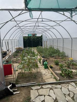 Maison - 240 m² - 11 pièces