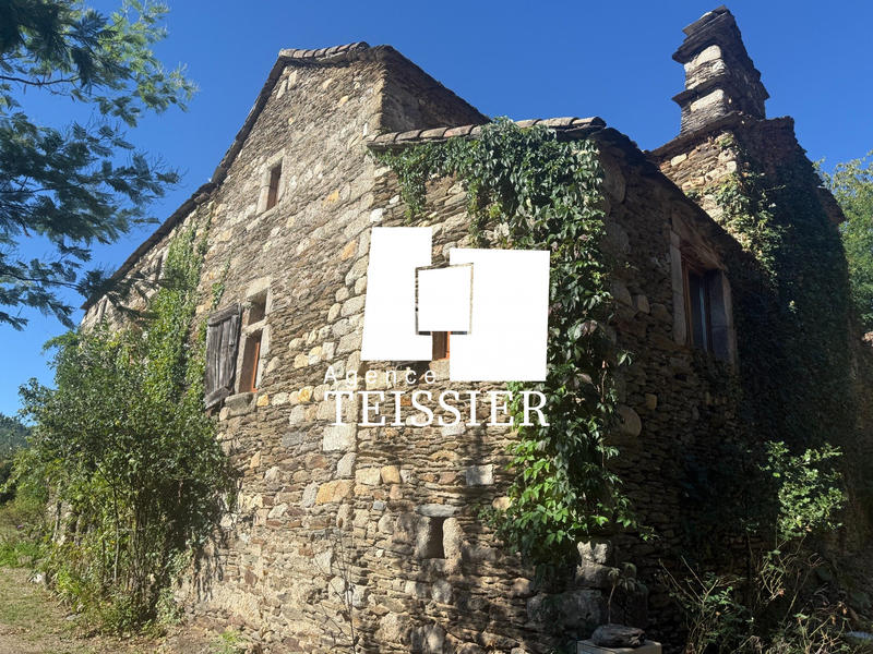 Maison - 250 m² - 7 pièces