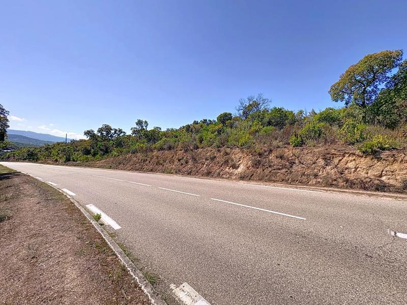 Terrain constructible - 5 000 m²