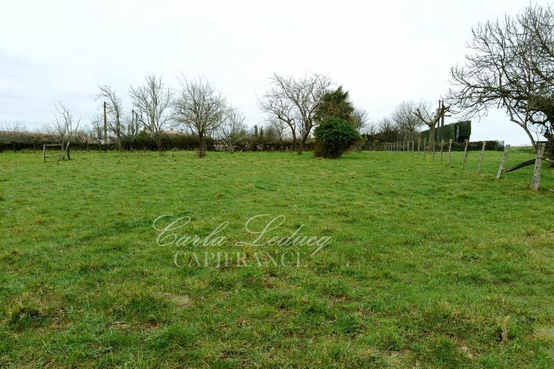 Terrain constructible - 1 623 m²