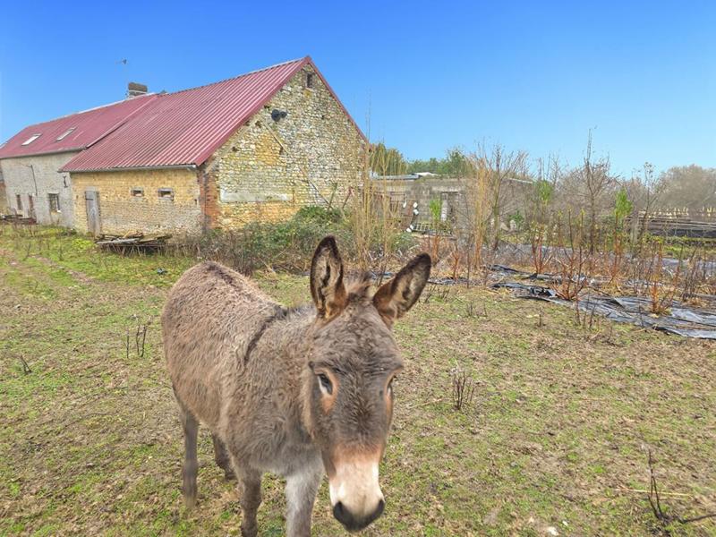 Maison - 184 m² - 7 pièces