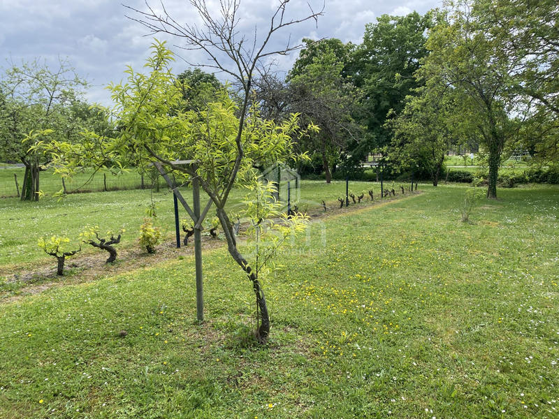 Maison ancienne - 97 m² - 5 pièces