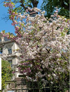 Appartement - 94 m² - 4 pièces