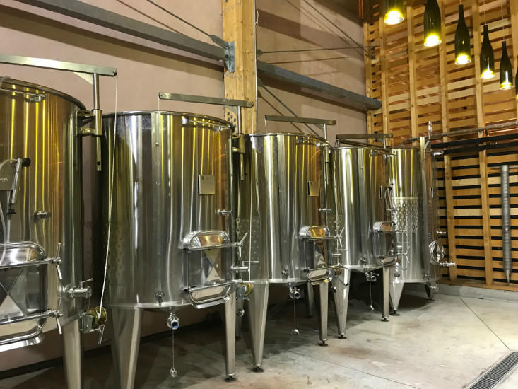 Dégustation : vins et tapas